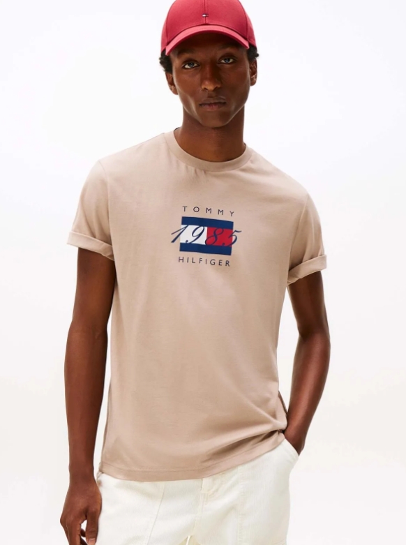 Мужская футболка Tommy Hilfiger